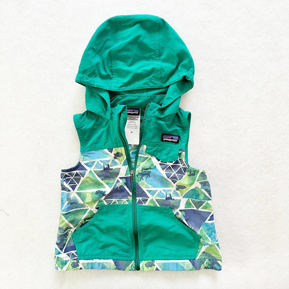 Patagonia Wildlife Traingles Hooded Vest